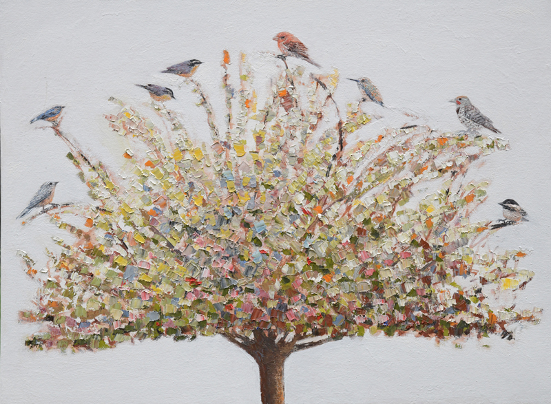Tree full of Birds