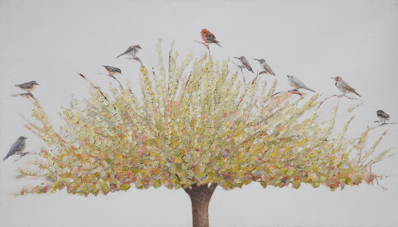 Tree full of Birds