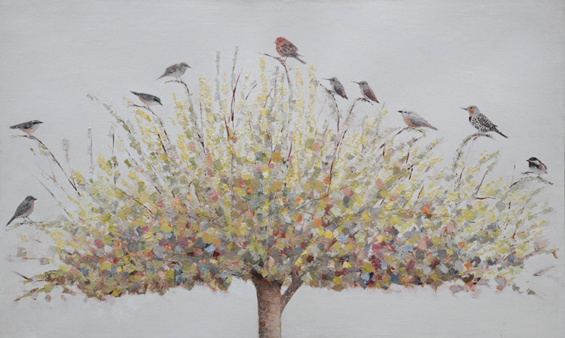 Tree full of Birds