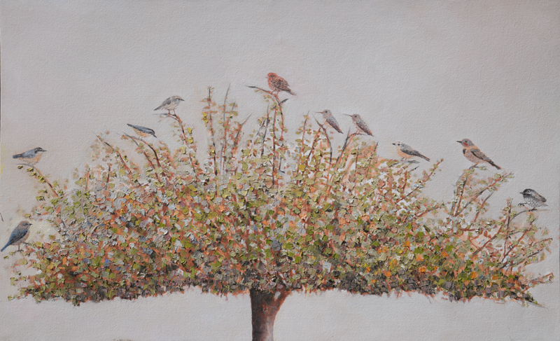 Tree full of Birds