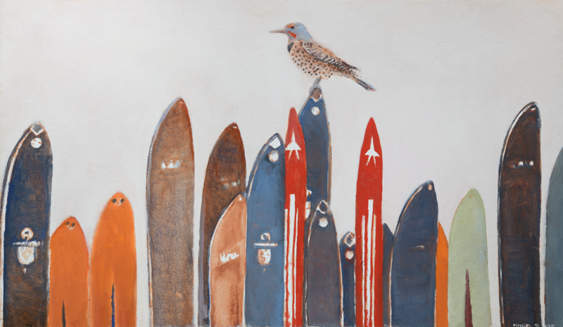 Wall of Skiis'