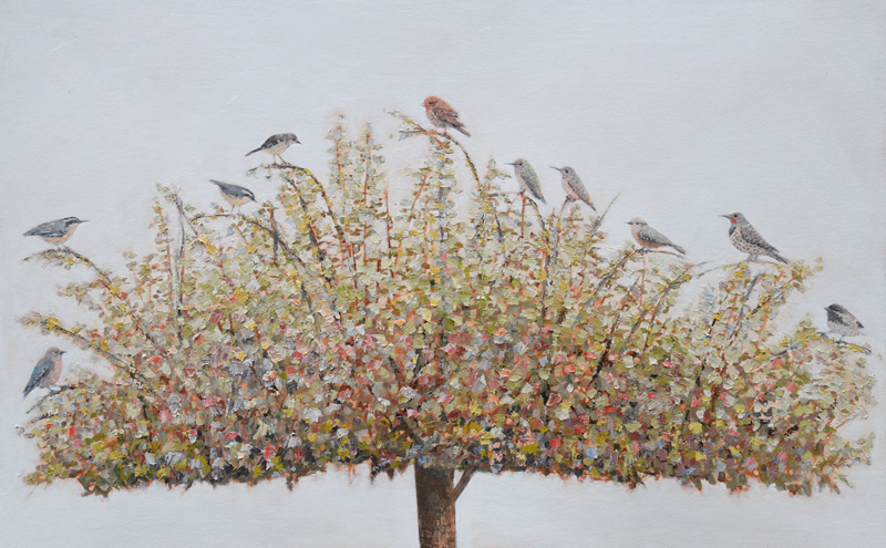 Tree full of Birds